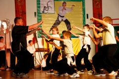 kung fu