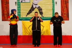 kung fu sanda