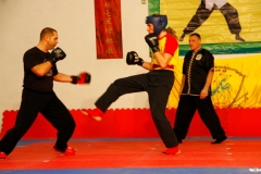 kung fu sanda