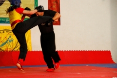 kung fu sanda