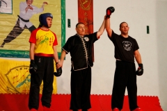 kung fu sanda