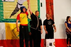 kung fu sanda