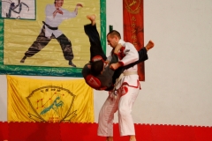 -mg-8330-184575