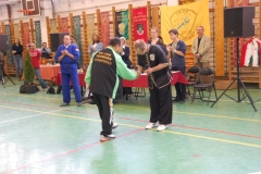kung fu