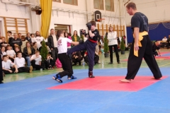 kung fu sanda