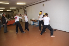 kung fu sanda