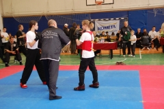 kung fu sanda