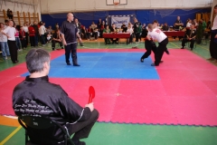 kung fu sanda