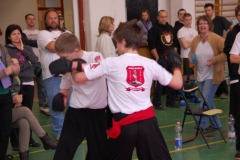 kung fu sanda