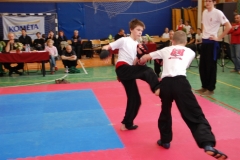 kung fu sanda