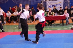 kung fu sanda