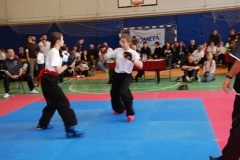 kung fu sanda