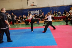 kung fu sanda