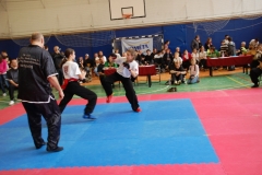 kung fu sanda