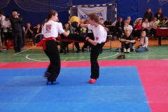kung fu sanda