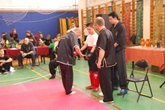 kung fu sanda