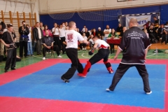 kung fu sanda