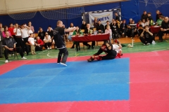 kung fu sanda