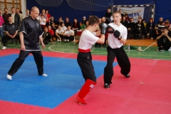 kung fu sanda