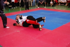 kung fu sanda