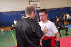 kung fu sanda