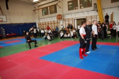kung fu sanda