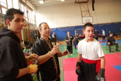 kung fu sanda