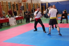kung fu sanda