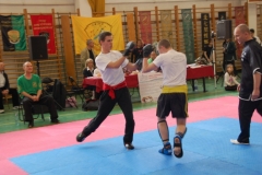 kung fu sanda