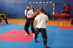 kung fu sanda