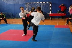 kung fu sanda