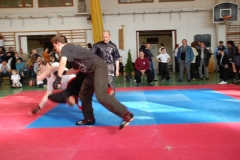 kung fu sanda
