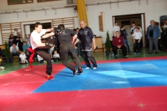 kung fu sanda