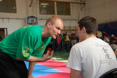 kung fu sanda
