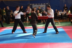kung fu sanda