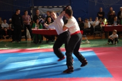 kung fu sanda