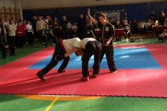 kung fu sanda