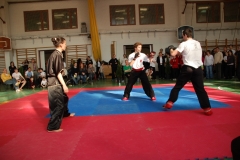kung fu sanda