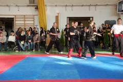 kung fu sanda