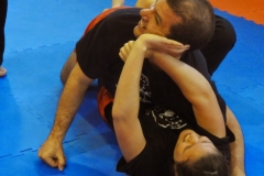 kung fu sanda