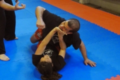 kung fu sanda