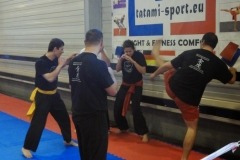 kung fu sanda