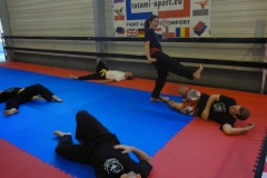 kung fu sanda