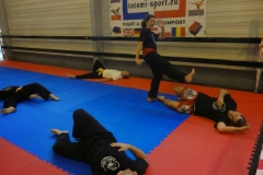 kung fu sanda