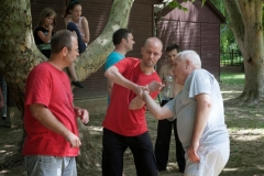 kung fu, tai chi