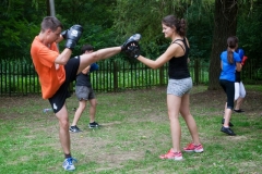 kung fu, sanda