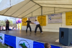 kung fu sanda