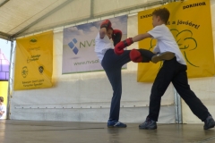 kung fu sanda