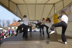 kung fu sanda