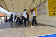 kung fu sanda